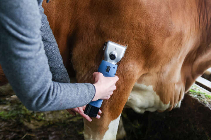 CLIPSTER Akkuschermaschine FarmClipper für Rinder